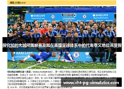 探究加的夫城所属联赛及其在英国足球体系中的代表意义地位深度探